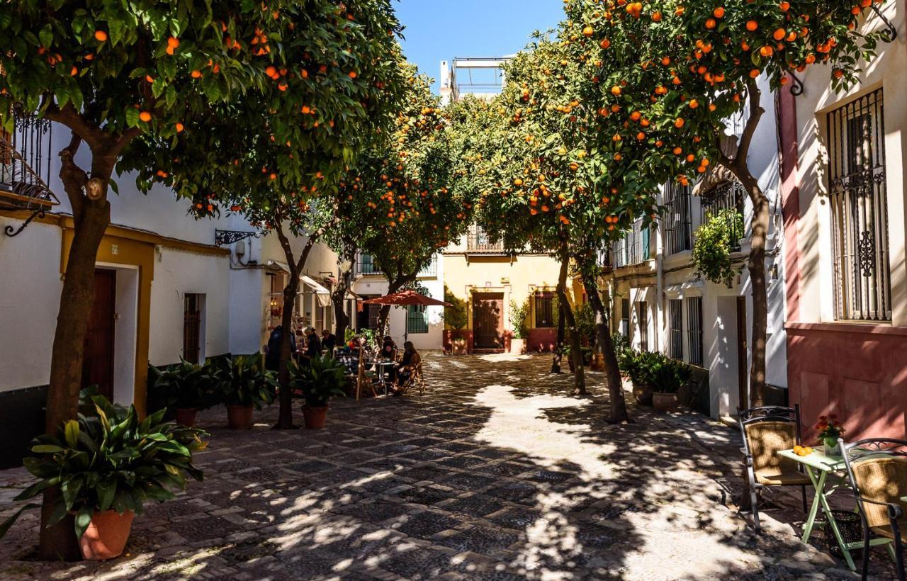Wish Suite La Mata De Sevilla Sevilha Exterior foto